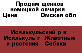 Продам щенков немецкой овчарки › Цена ­ 5 000 - Омская обл., Исилькульский р-н, Исилькуль г. Животные и растения » Собаки   